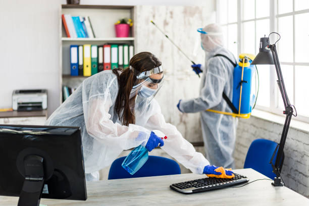 to disinfect the office to disinfect the office
